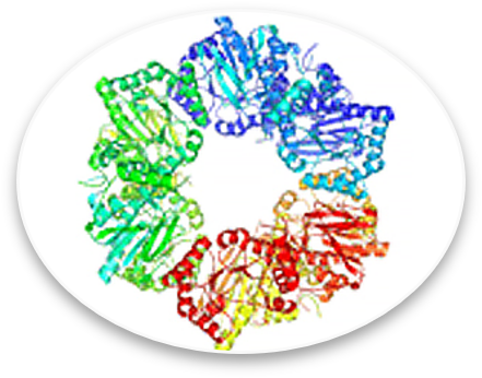Structural Biology Icon