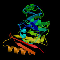 Crystal structure of a protein with unknown function from Pseudomonas aeruginosa, a disease-causing bacterium.
