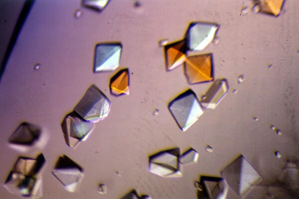 Crystals of pig alpha amylase protein Image