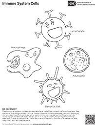 coloring sheet of immune system cells