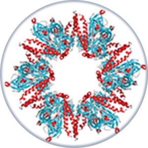 Structural Biology Fact Sheet Icon.