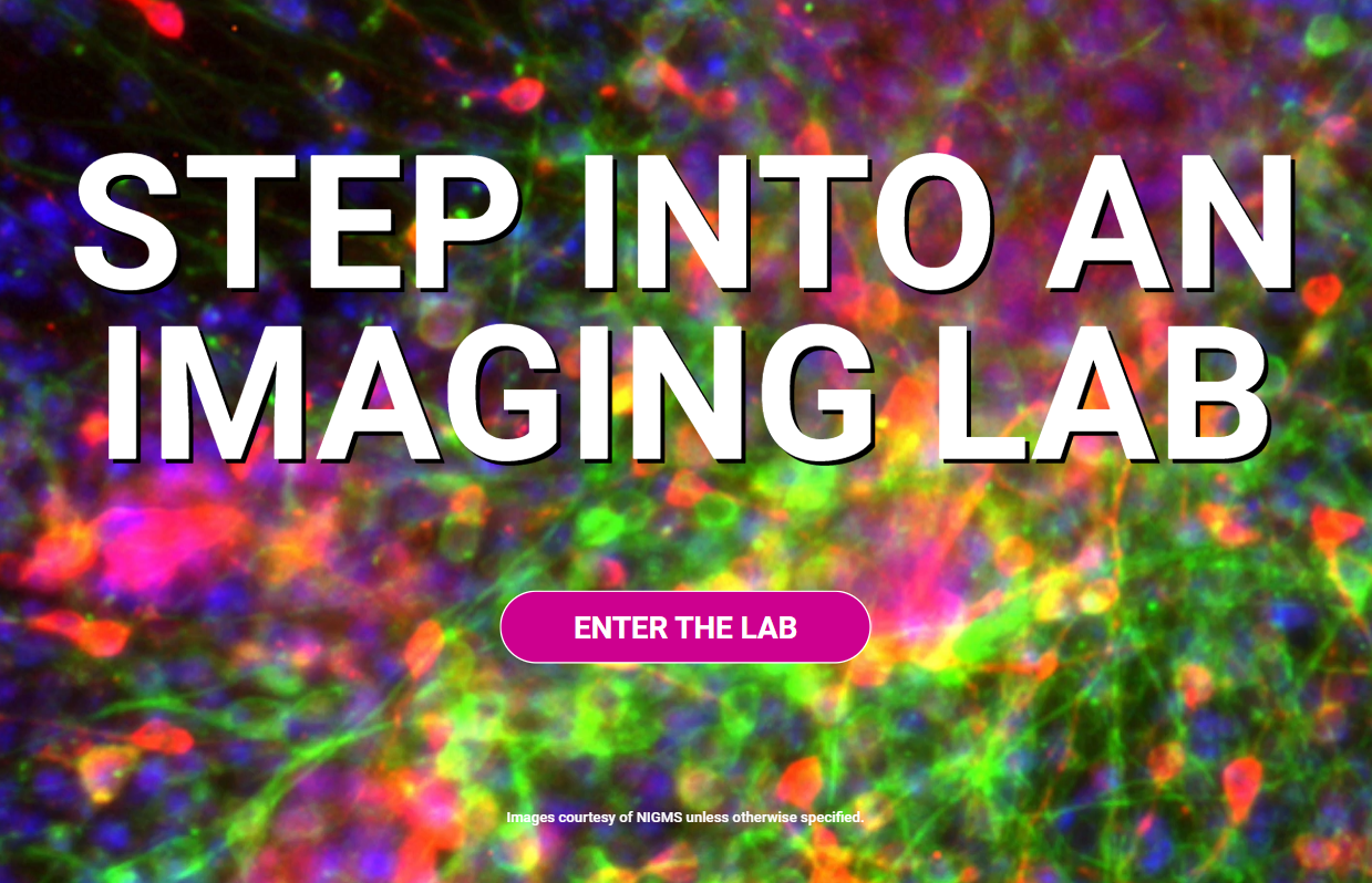 Step Into An Imaging Lab icon.