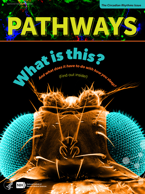Pathways Circadian-Rhythms Cover
