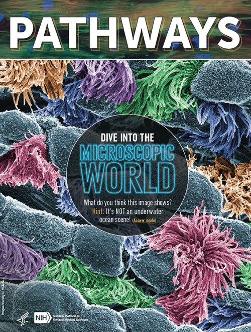 Pathways Imaging Issue Cover