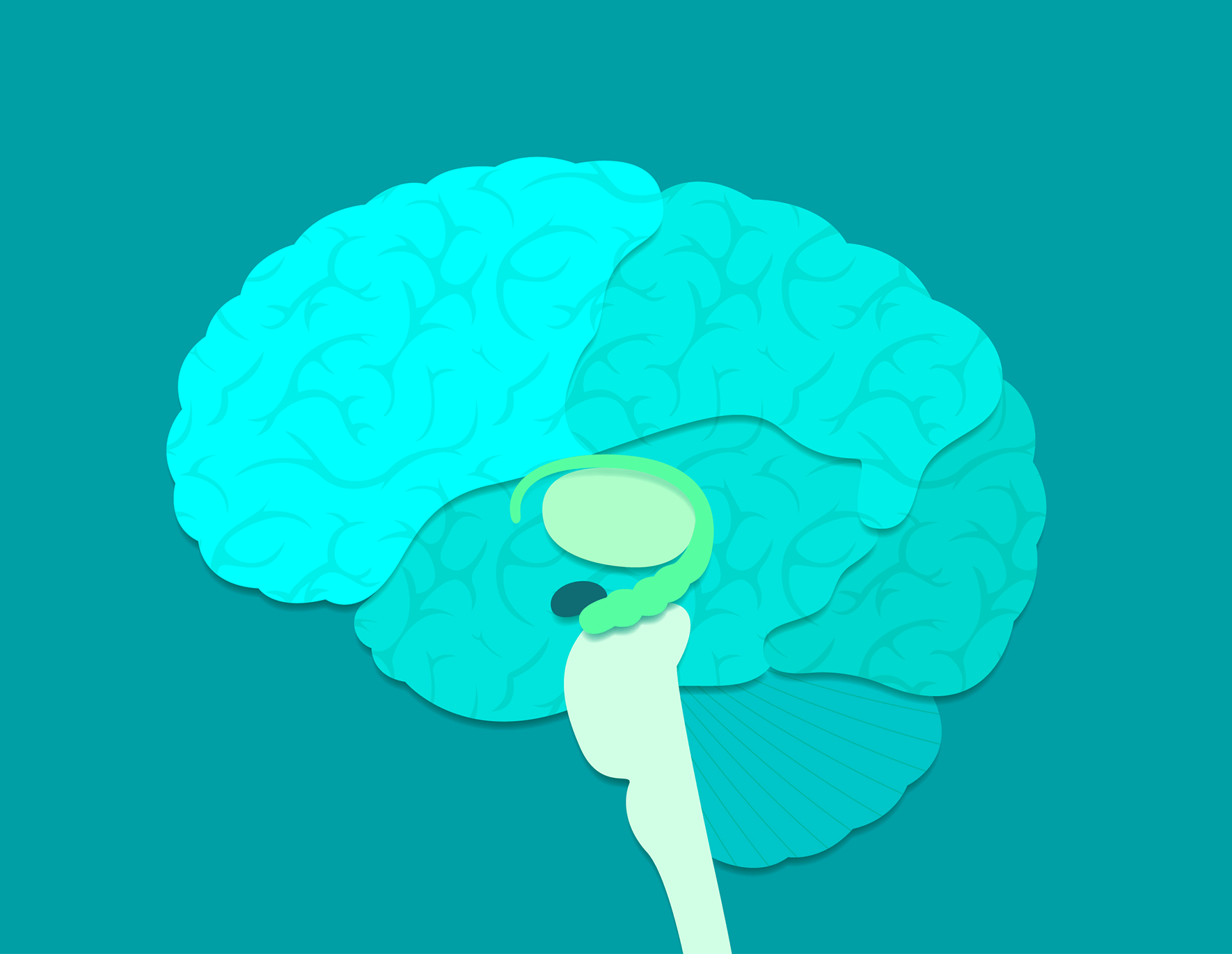 background brain image