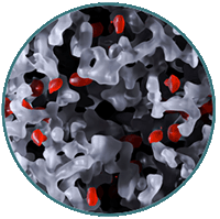 Cryoelectron Microscopy (R24) Icon