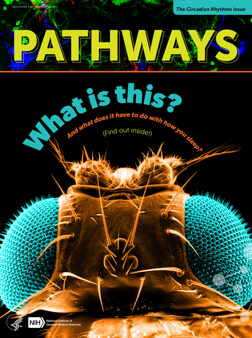 The cover of the Pathways Magazine Spring 2020.