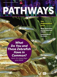 The cover of the Pathways Magazine Fall 2019.