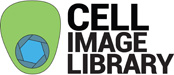 The Cell An Image Library Logo