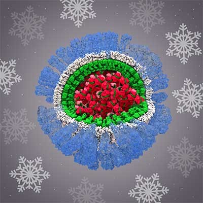 The H1N1 flu virus as a decorative holiday ornament of blue, white, green, and red, nestled in a grey backdrop with white snowflakes. Refer to text for description.