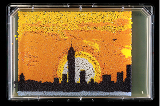 Yeast colonies on a large plate arranged to look like the New York City skyline: shades of yellow and orange for the sky, white and gray for the moon and ground, and black for the building silhouettes.
