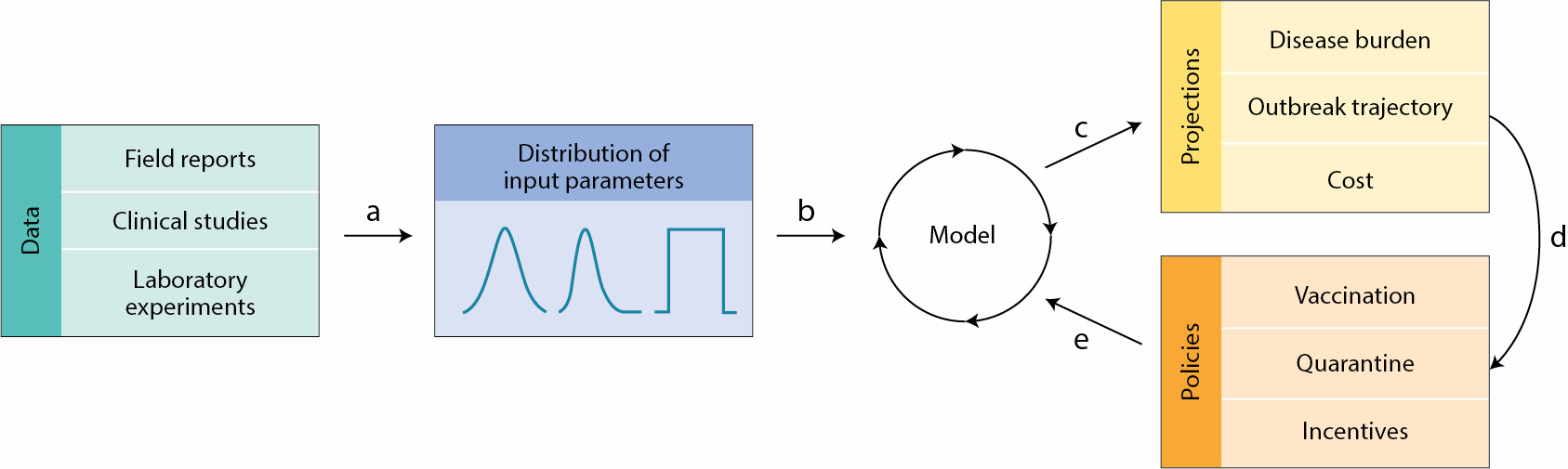 Flow chart showing data collection and distribution of input parameters leading to the formation of a disease model and resulting projections and policies.