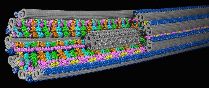 A tube made up of many colorful molecules.
