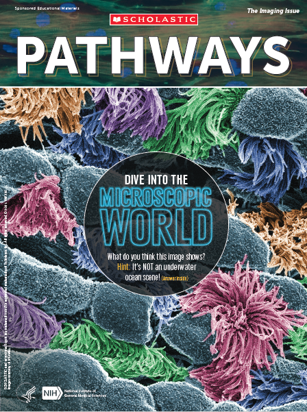Cover of Pathways student magazine showing geometric shapes, pom-pom-like structures, and text that reads, Dive into the microscopic world. What do you think this image shows? Hint: It’s NOT an underwater scene! (Answer inside).