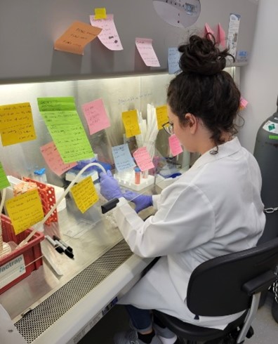 Claira wearing a lab coat and gloves and working at a lab bench. 