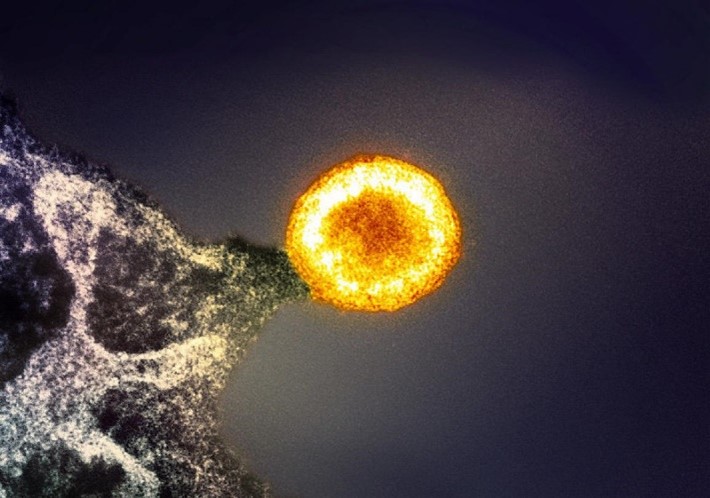 A yellow orb resting on a protruding tip of a gray mass.