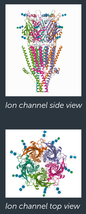 Ion Channel Side and Top Views