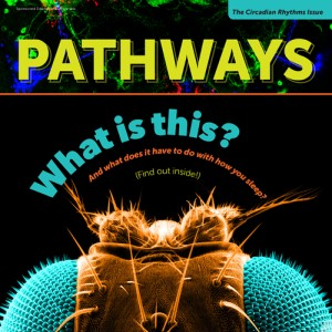 The cover of an issue of Pathways Magazine.